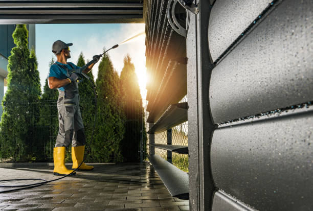 Best Rust Removal  in Buchanan, GA