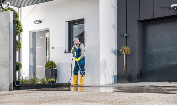 Best Gutter Cleaning  in Buchanan, GA